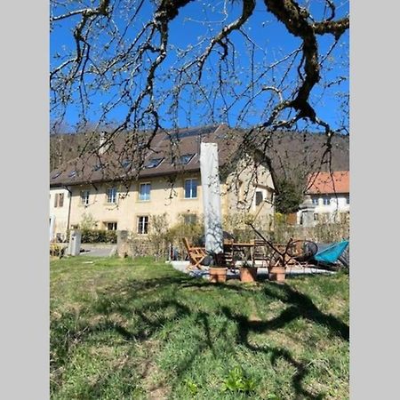 Voeens, St-Blaise, Logement Entier - 2 Chambres Marin エクステリア 写真